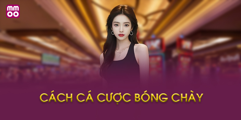 Cách Cá Cược Bóng Chày Là Gì?