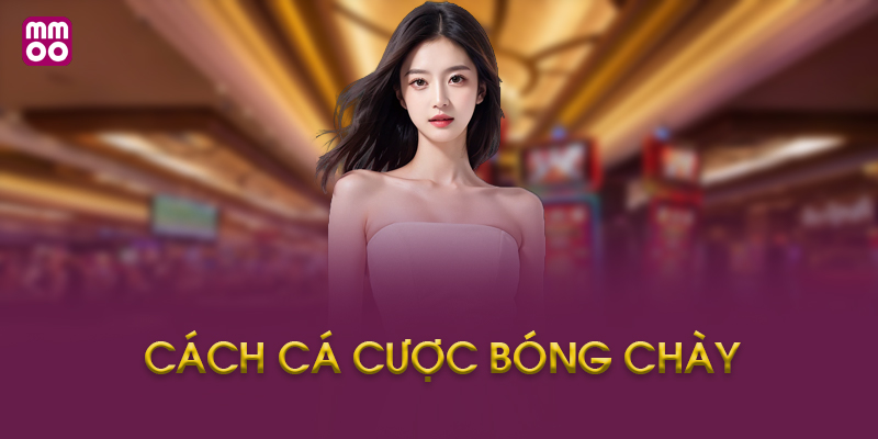 Hướng Dẫn Cách Cá Cược Bóng Chày Tại MMOO Từng Bước