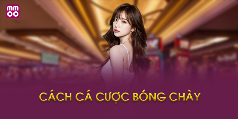 Chiến Thuật Cá Cược Bóng Chày Hiệu Quả